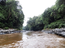 The Busang river (photo: Lan Qie, Indonesia, 2014)